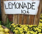 Lemonade stand photo